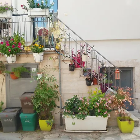 La Terrazza Sul Borgo -appartamento-
